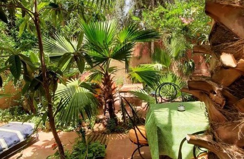 Ouzoud House | DAR OUZOUD Vegan