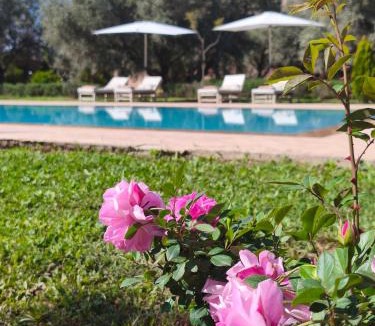Sidi Abdallah Ghiat House | Domaine du souffle d Amaia