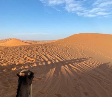 Merzouga Other | Erg Luxury Camp Merzouga