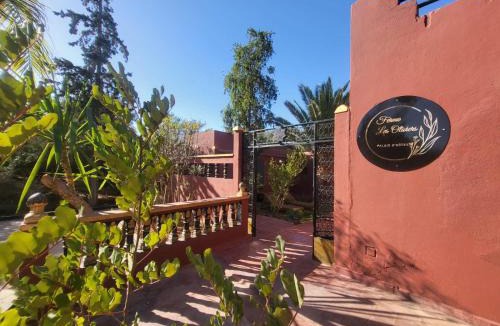 Ait Zat Villa | Ferme des Oliviers - Villa de Charme avec Vue Nature