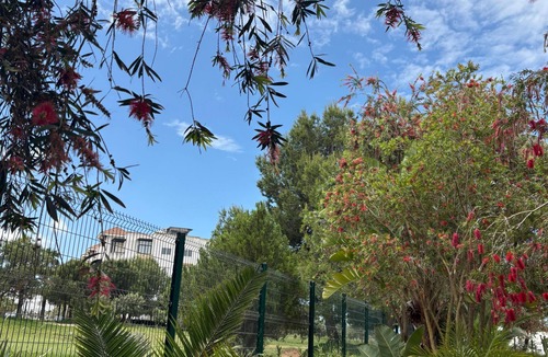 Asilah Apartment | For rent: Luxury apartment in a tourist residence.