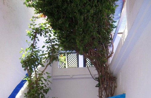 Medina House | GIVE NEW traditional house in historical-artistic medina
