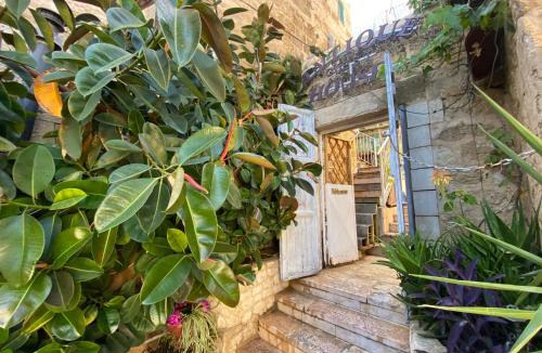 Old City Hostel | Guest House Antique
