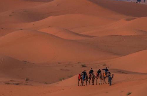 Merzouga House | Hotel Riad Ali