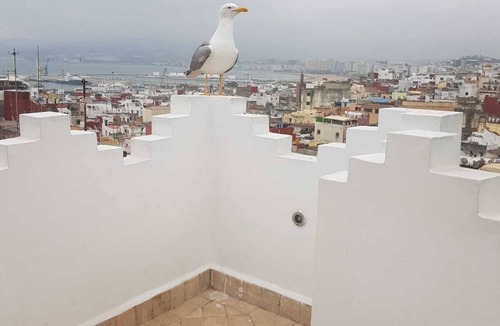 Medina of Tangier House | House in the medina of Tangier with panoramic terrace