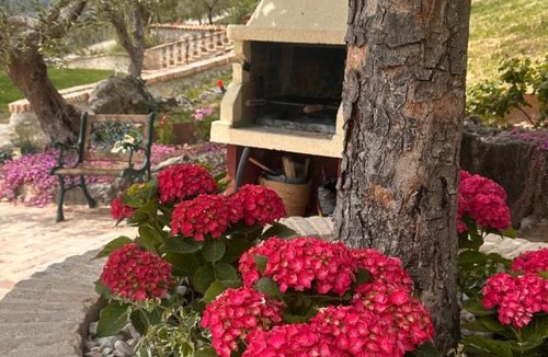 Scandriglia Villa | Il cottage degli ulivi