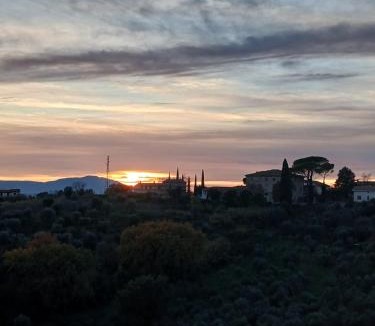 Fornole Bed & Breakfast | Il Mandorlo B&B