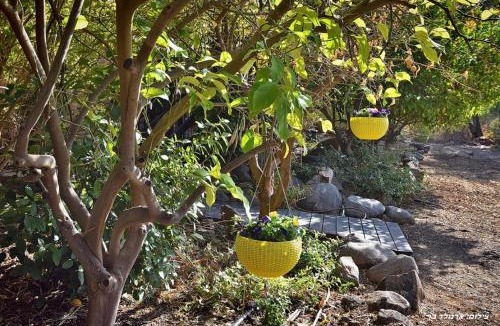 Ma'ale Gamla Cabin | Indigolan