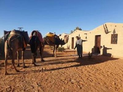 Taouz Hostel | Karawanserail-Khamlia