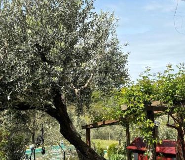 Poggi del Sasso Villa | LA CAPANNA Casale in pietra con piscina