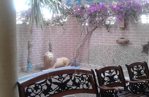 Tamraght House | lioness 3 apartment 2 bedrooms private terrace