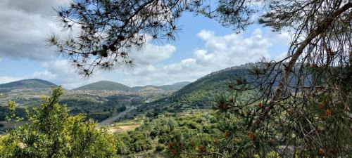 Manot Apartment | Magnolia Suite in Manot