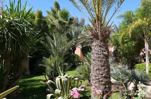 Sidi Abdallah Ghiat Villa | Mas de L'Ourika Original