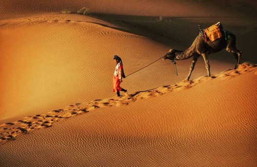 Merzouga House | Merzouga Exotic Luxury Camp Is The Best Location