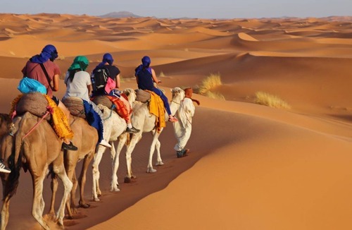 Merzouga House | Merzouga Exotic Luxury Camp Is The Best Location