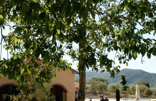 Castiglion Fiorentino Villa | Modern Villa with a breathtaking view of the medieval town of Castiglion Fiorentino