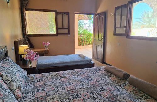 Tiout House | Oasis de Tiout