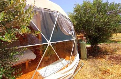 Yavne'el Other | Olive Dome 2 - כיפה גיאודזית קטנה ומודרנית בין עצי הזית
