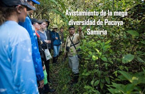 Nauta Cabin | Pacaya Samiria Amazon Lodge - ALL INCLUSIVE
