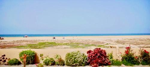 Imi Ouaddar Apartment | Pearl - ImiBeach - Luxe Suite - 2-3 Px