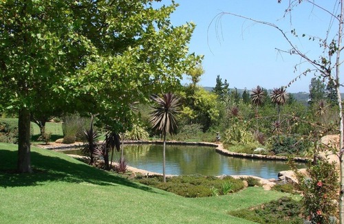 Stellenbosch Cottage | Pure indulgence on an olive farm surrounded by fynbos nature and vineyards