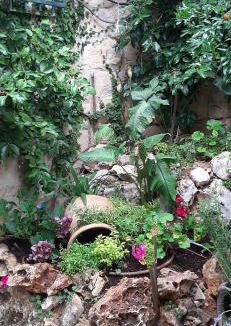 Safed Apartment | Relaxed garden apartment with Galilee sea view 1