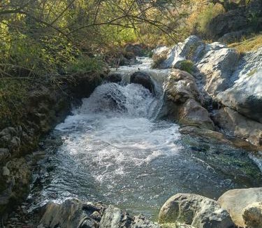 Mussoorie Hotel | Rivulet Resort & Camping