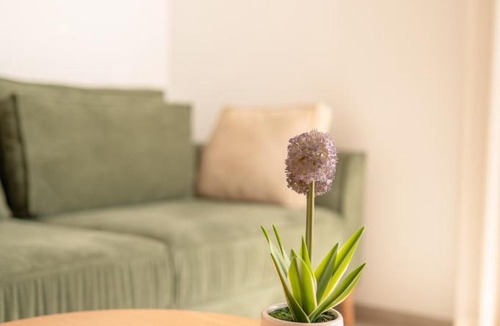 Qatsrin Apartment | Secondfloor- Luxurious Modern Suite in the Golan Heights