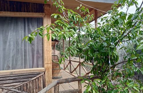 Suni Cottage | Shimla Cottages & Camp