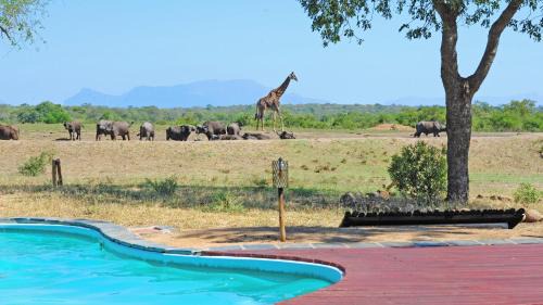 Thorny Bush Game Reserve Cabin | Tangala Safari Camp