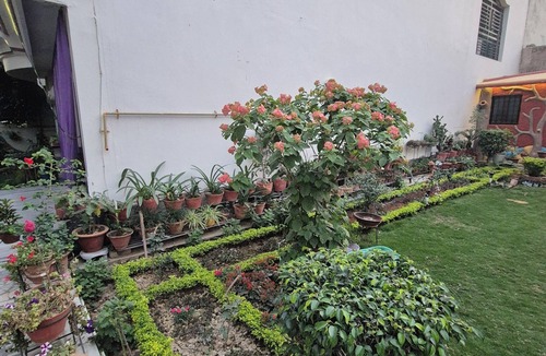 Varanasi Cottage | The Gardenveil Suite - Luxury 1RK Cottage