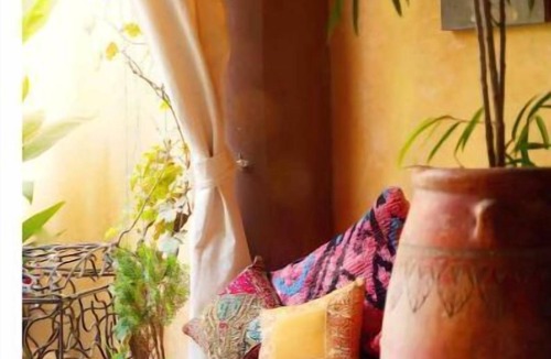 El Hara House | The Tangier Room: Garden View Patio: Riad Roxanne