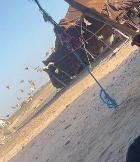 Taouz Other | Traditional nomad camp