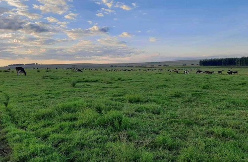 Gert Sibande House | Vaalriet Chalet
