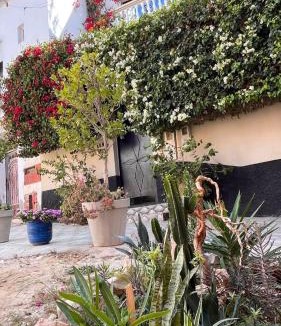 Tamraght Bed & Breakfast | Villa Michel