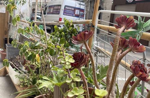 Haifa Apartment | "Wadi Nisnas Vintage Apartment! Baha'i Gardens, German Colony, and Downtown"