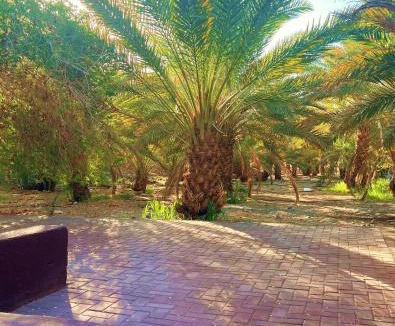 Ramm House | Wadi Sader