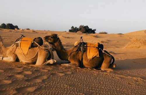 Rissani RV Rental | Welcoming 8-bedroom Camping Merzouga