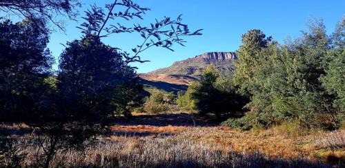 Elandskop House | Whistling Woods Cabin at Drakensberg International Backpackers