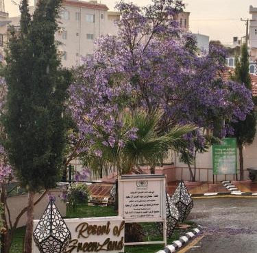 شاليهات الارض الخضراء لبيوت العطلات