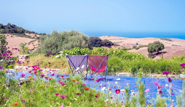 2 hectare estate, 25 pers, 12 bedrooms, sea view, pool, stove & cleaning