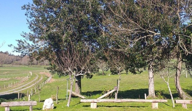 A rustic family home located in a village in Galicia, surrounded by countryside
