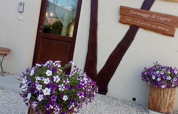 Agriturismo NONNU LUI`