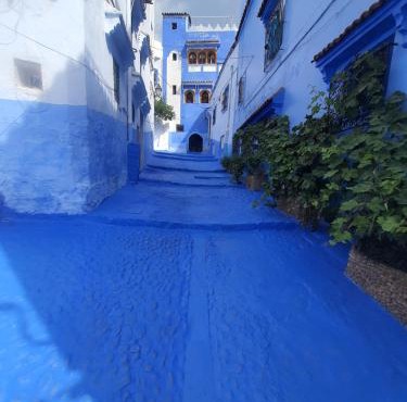 aline hostel 2