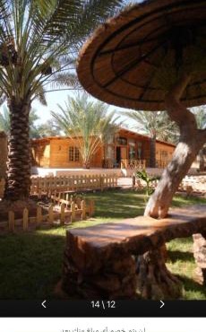 Aviary AlUla 3