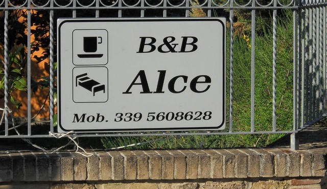 B&B Alce