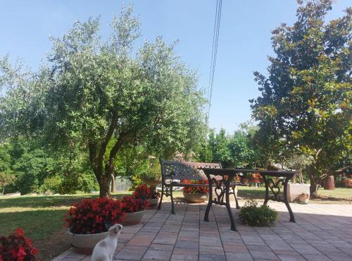 B&B Straccialena in Cingoli