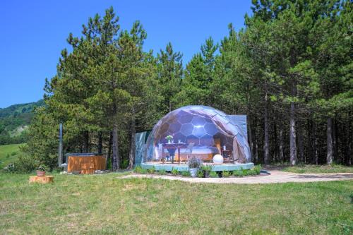 Bubble Room Experience in Casteldelci