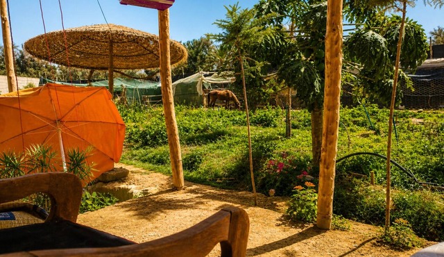Charming Garden Apartment with Pool - A Peaceful Escape in Taroudant