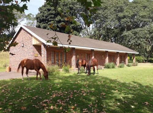 Chillifields Guesthouse